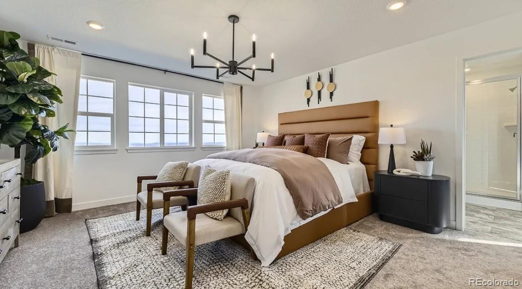 MLS Image #12 for 10931  tundra top drive,parker, Colorado