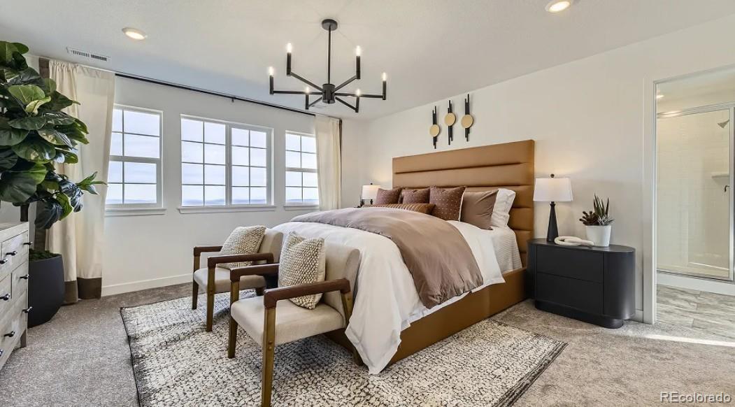 MLS Image #15 for 10931  tundra top drive,parker, Colorado