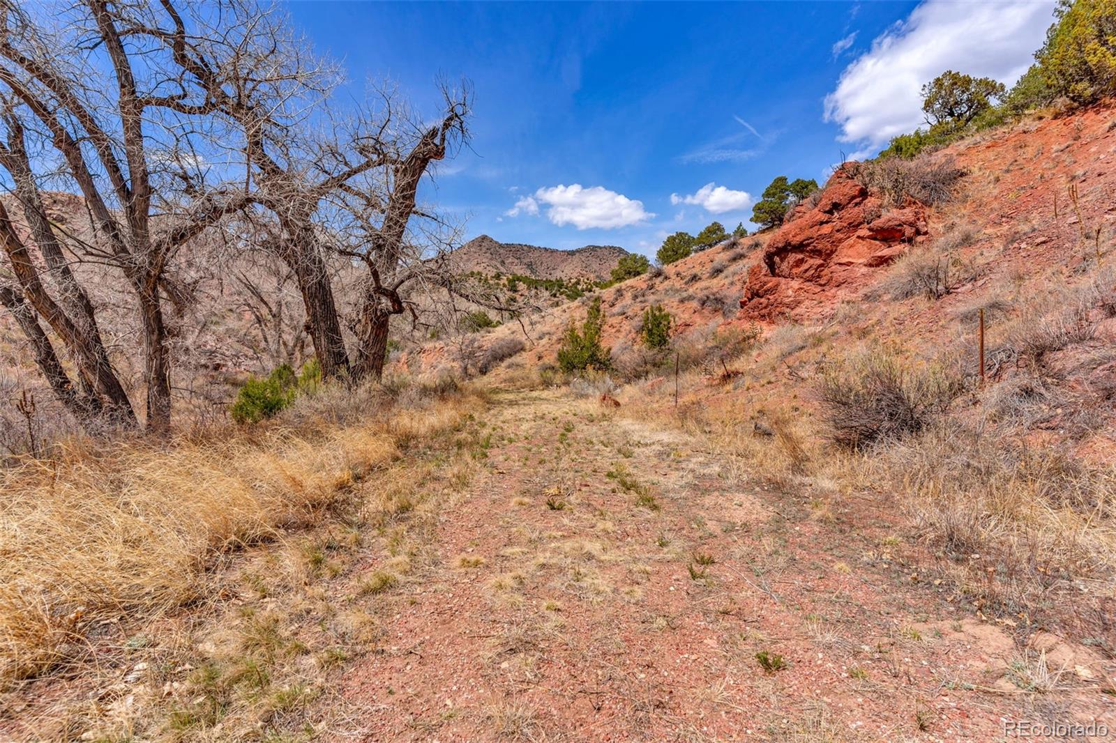 MLS Image #20 for 11  state highway 9 ,canon city, Colorado