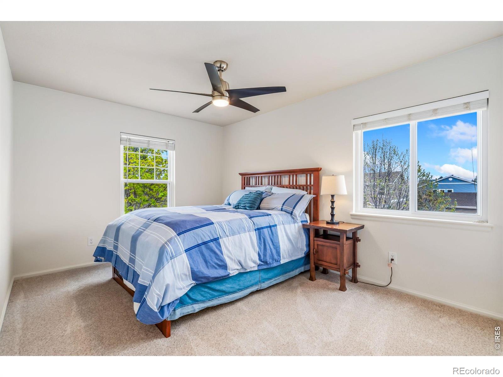 MLS Image #23 for 845  province road,fort collins, Colorado