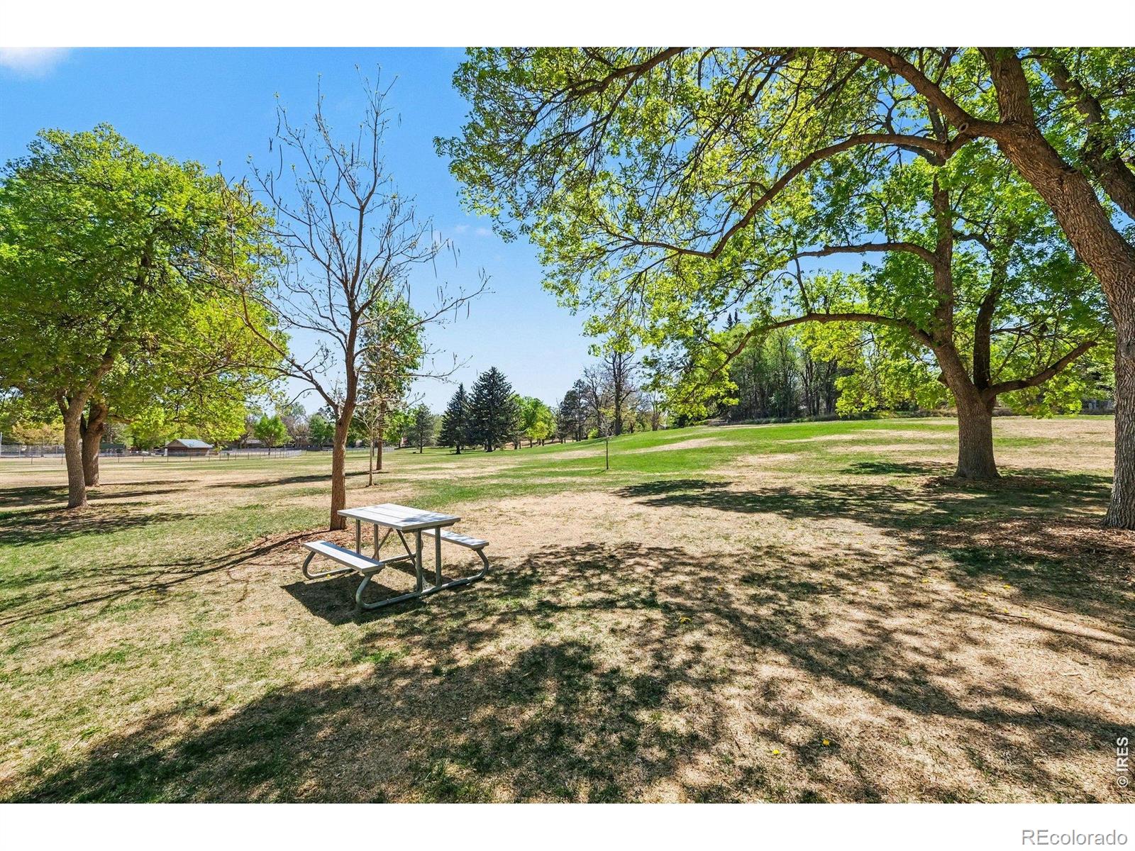 MLS Image #32 for 105  columbia road,fort collins, Colorado
