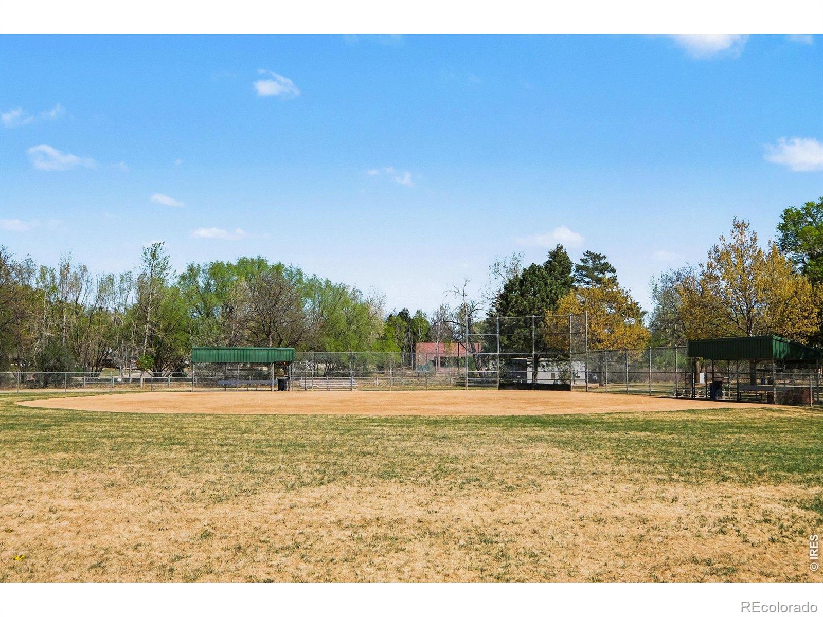 MLS Image #33 for 105  columbia road,fort collins, Colorado
