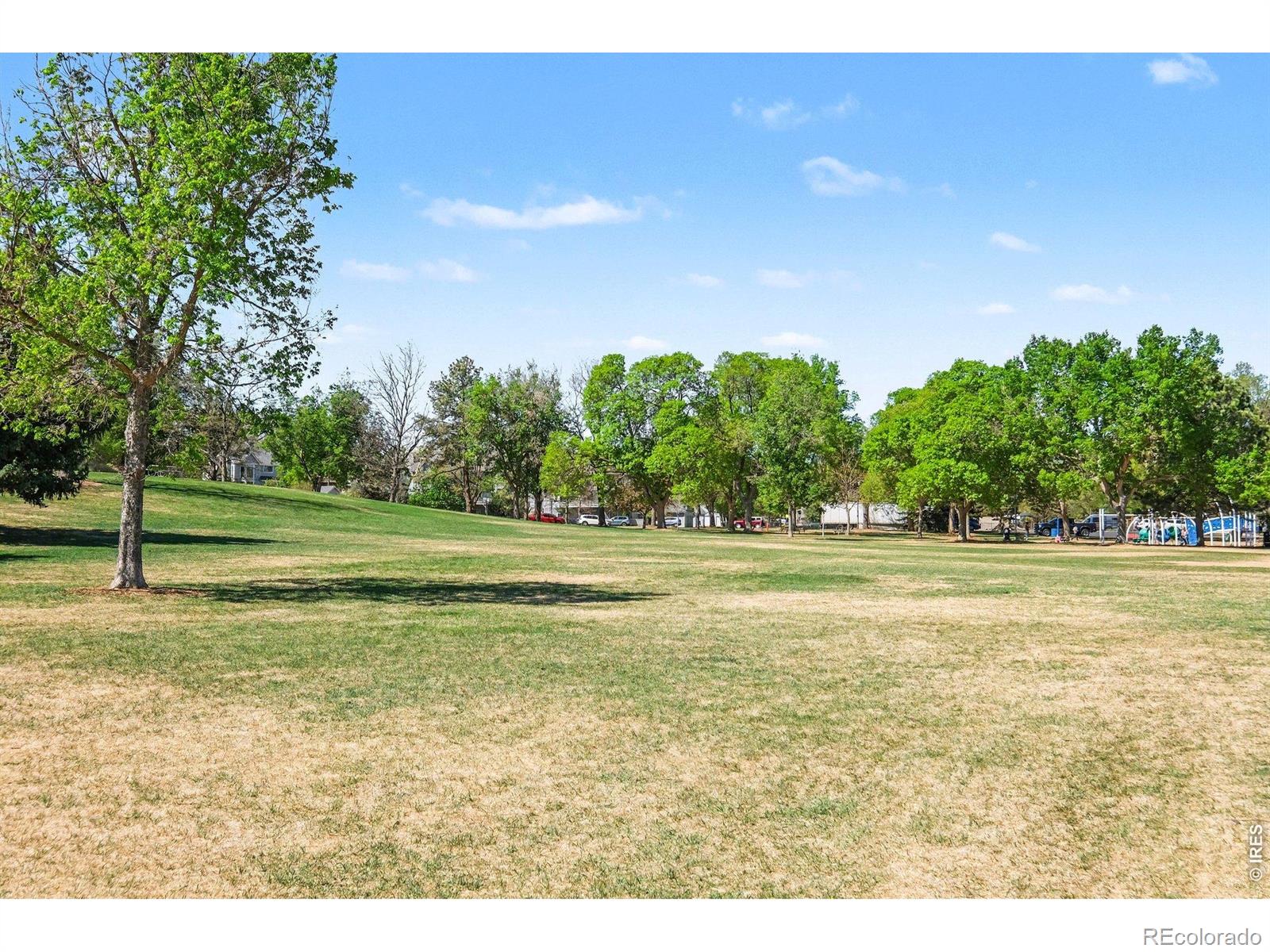 MLS Image #34 for 105  columbia road,fort collins, Colorado