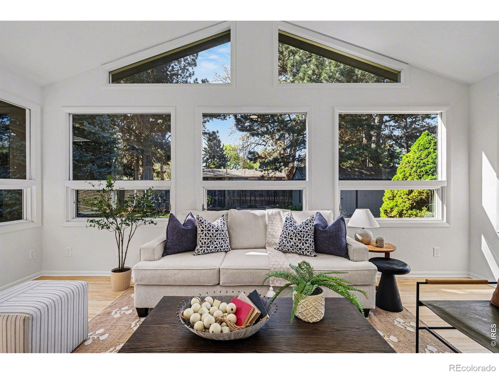 MLS Image #8 for 105  columbia road,fort collins, Colorado