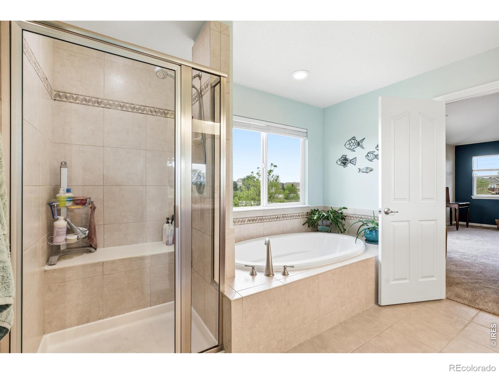 MLS Image #25 for 16223  olive way,brighton, Colorado