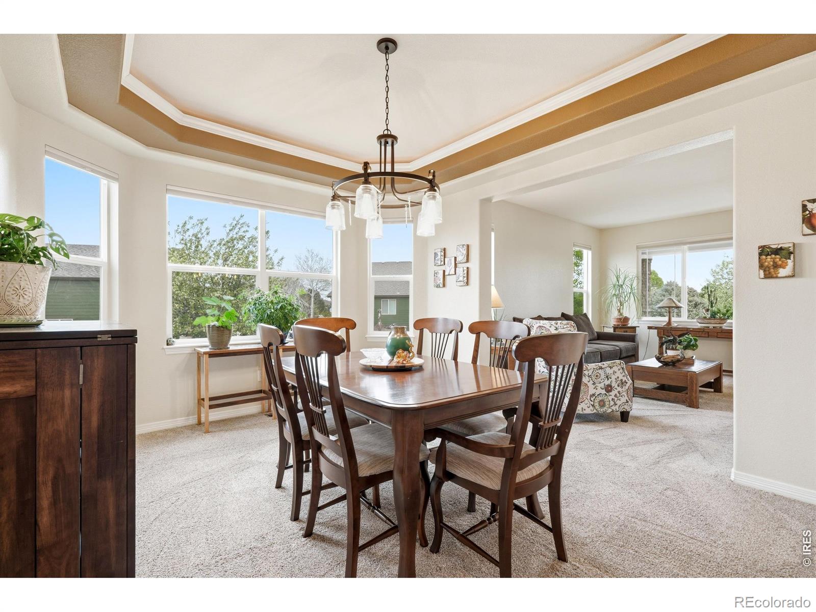 MLS Image #7 for 16223  olive way,brighton, Colorado