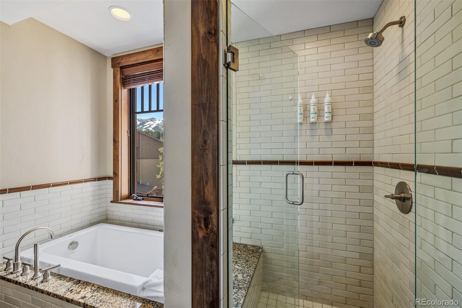 MLS Image #18 for 610  columbine road 6404,breckenridge, Colorado