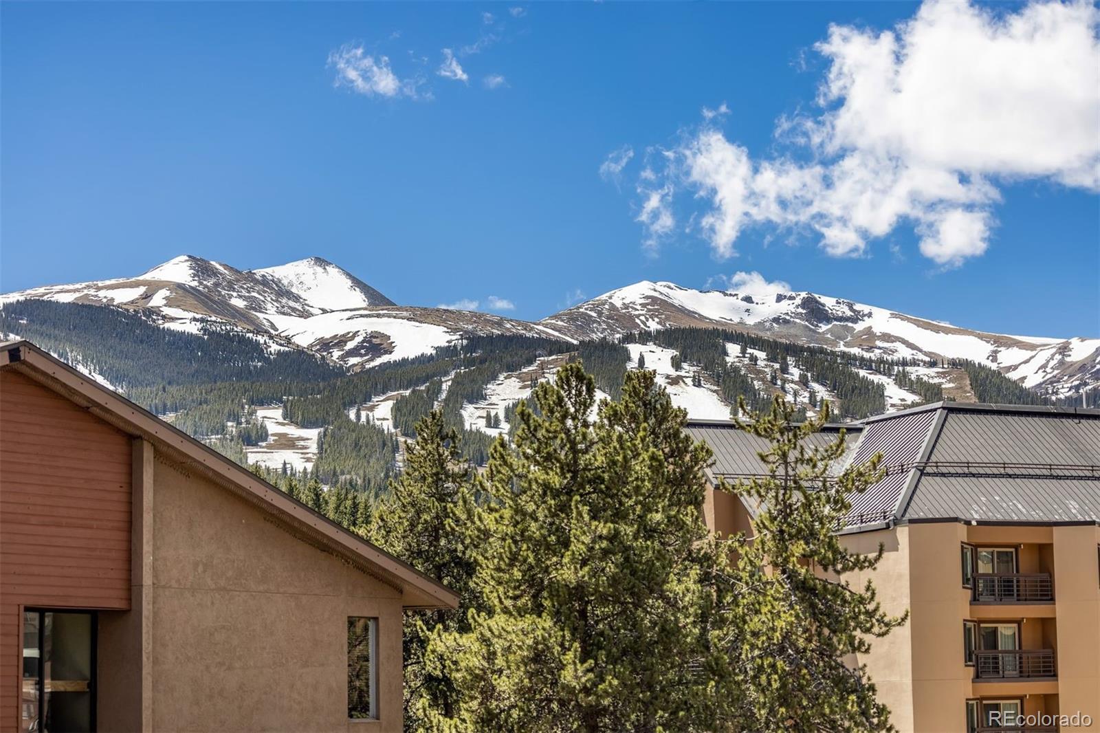 MLS Image #26 for 610  columbine road 6404,breckenridge, Colorado