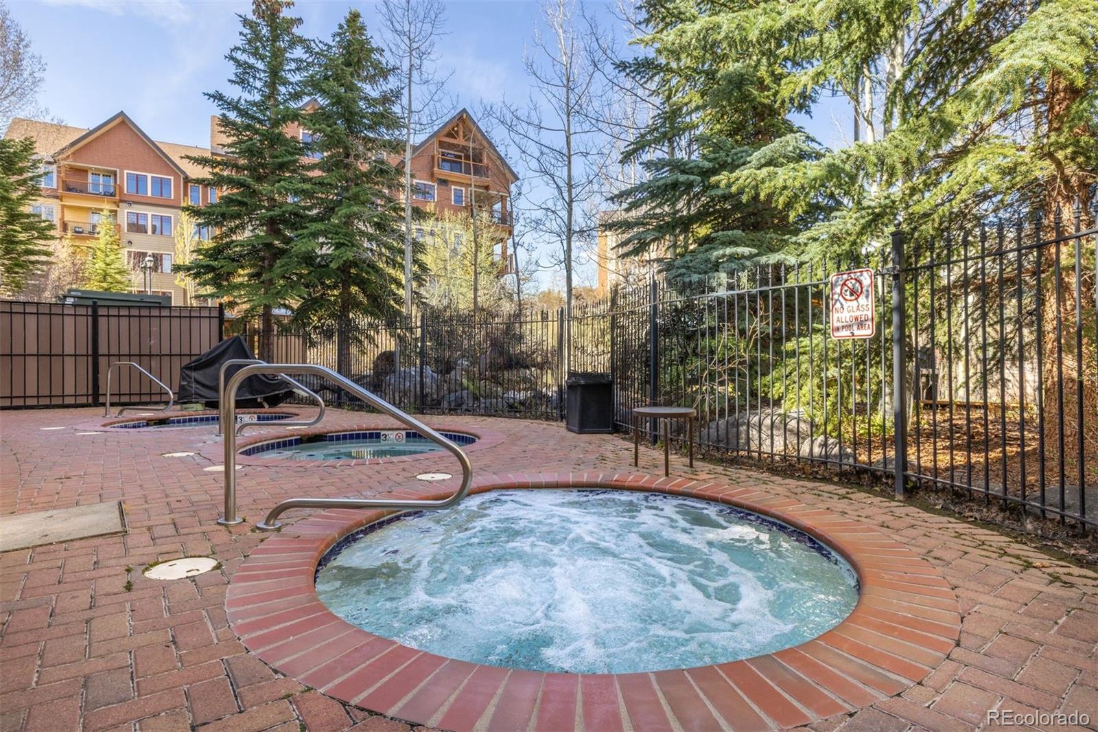 MLS Image #42 for 610  columbine road 6404,breckenridge, Colorado