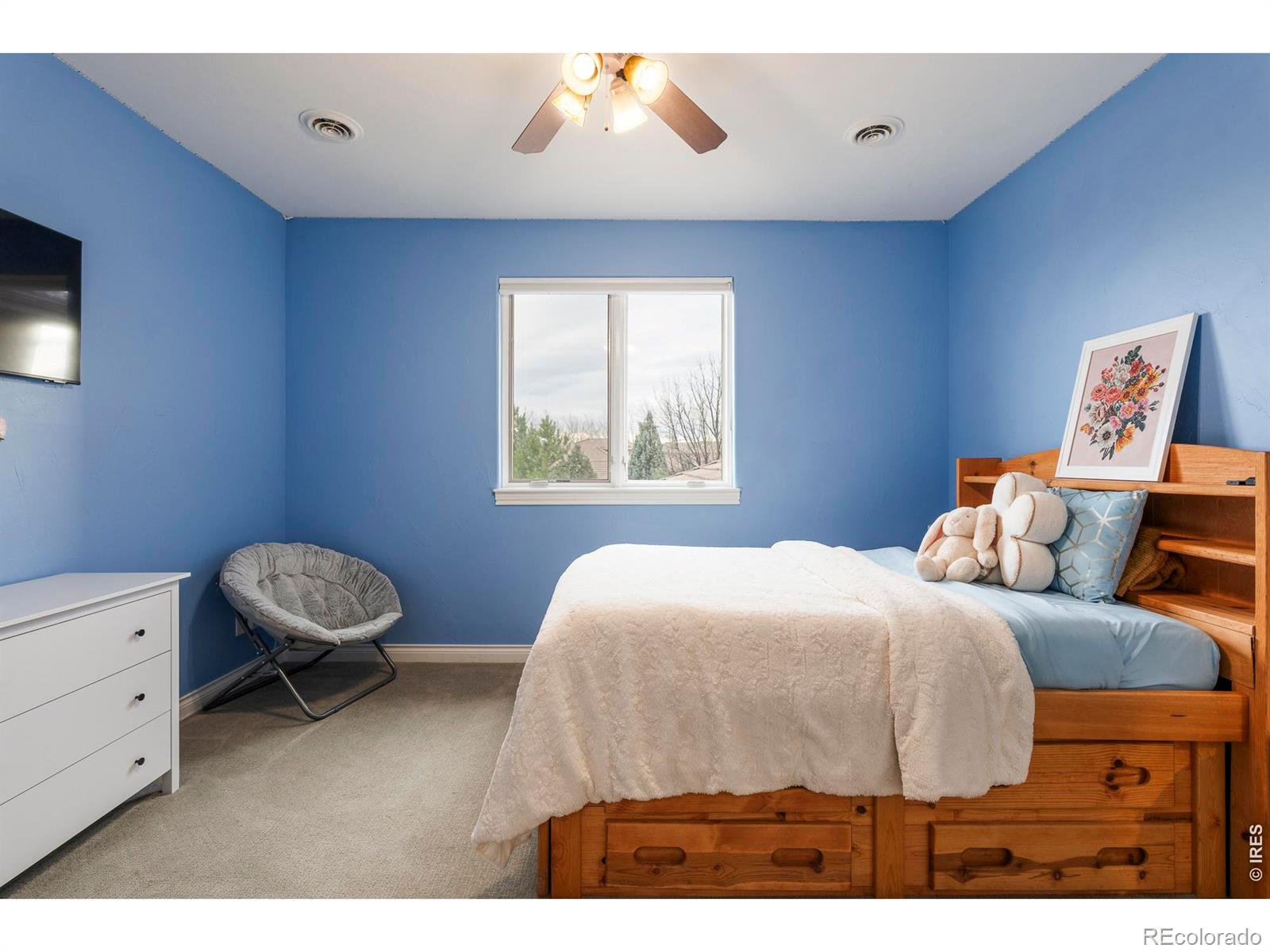 MLS Image #18 for 8712  portico lane,longmont, Colorado