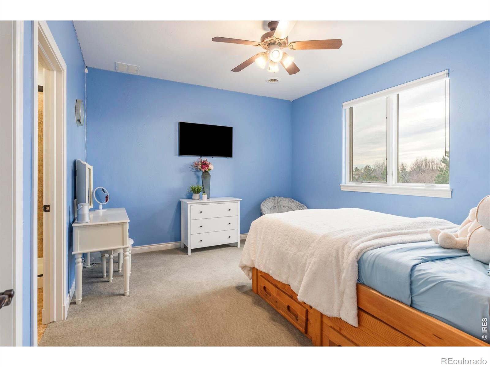 MLS Image #19 for 8712  portico lane,longmont, Colorado