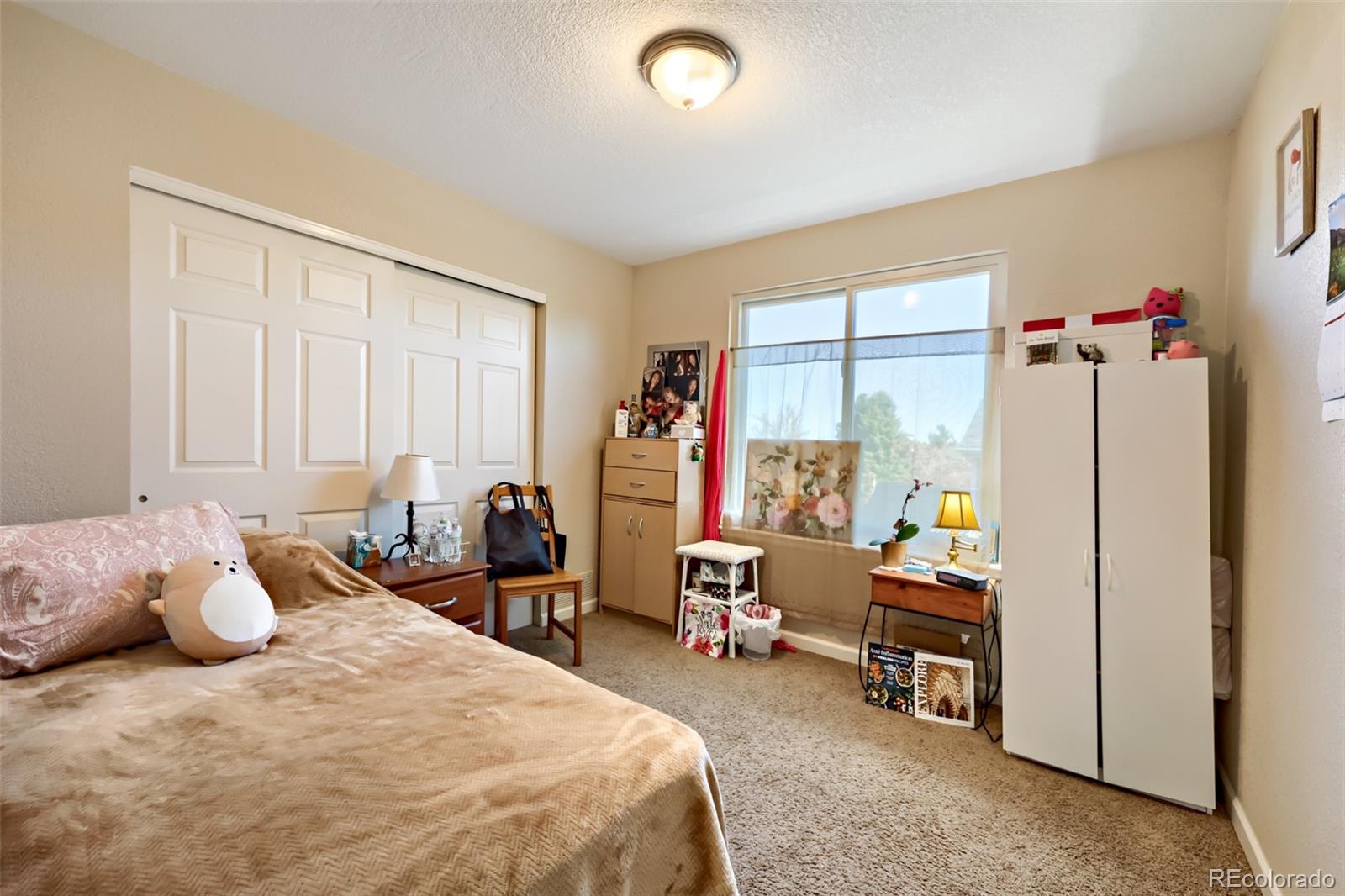 MLS Image #13 for 9317  rosewood court,highlands ranch, Colorado