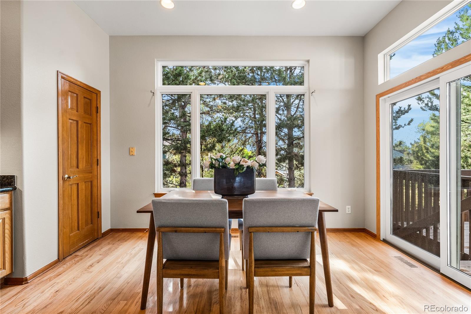 MLS Image #15 for 8753  forrest drive,highlands ranch, Colorado