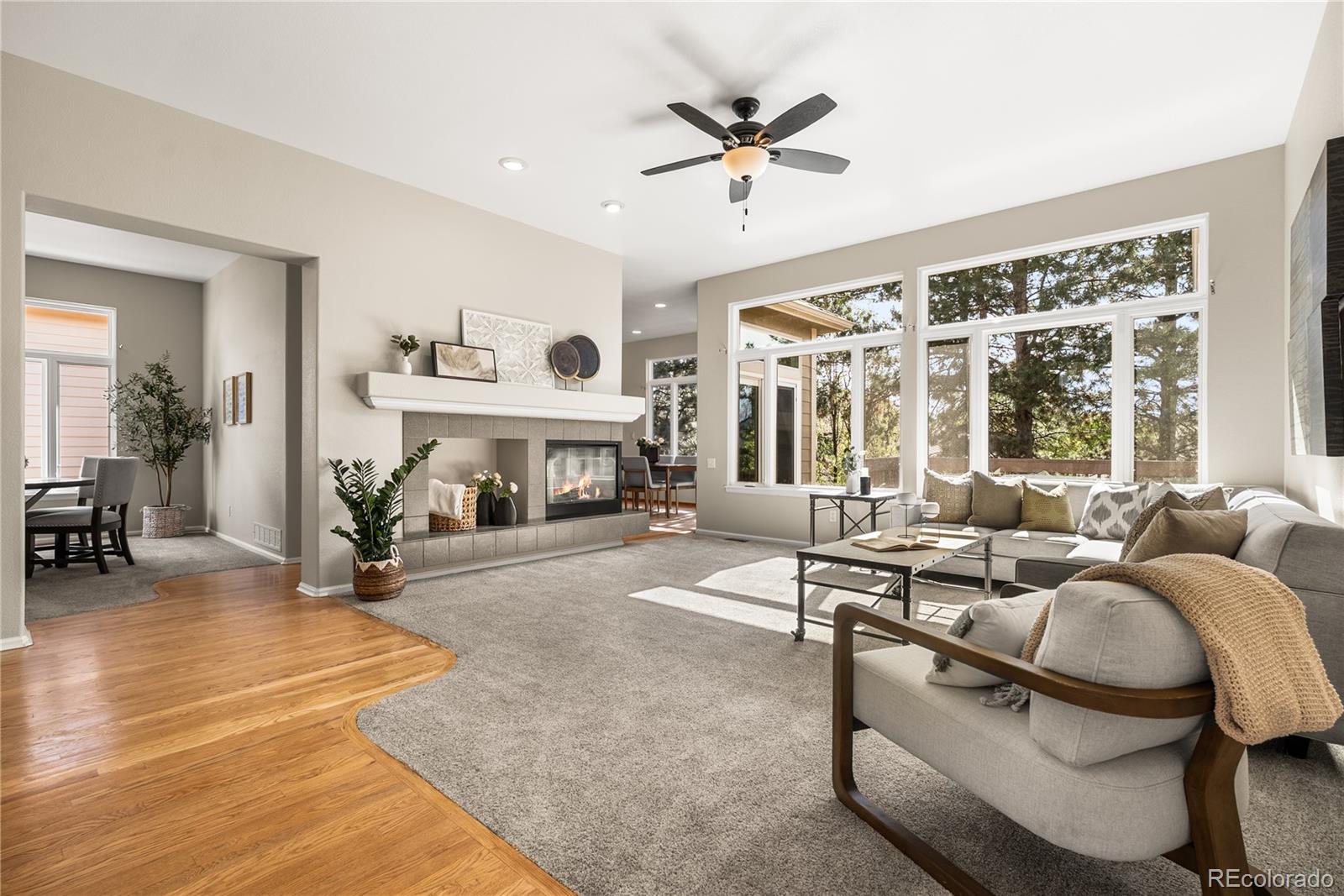MLS Image #2 for 8753  forrest drive,highlands ranch, Colorado