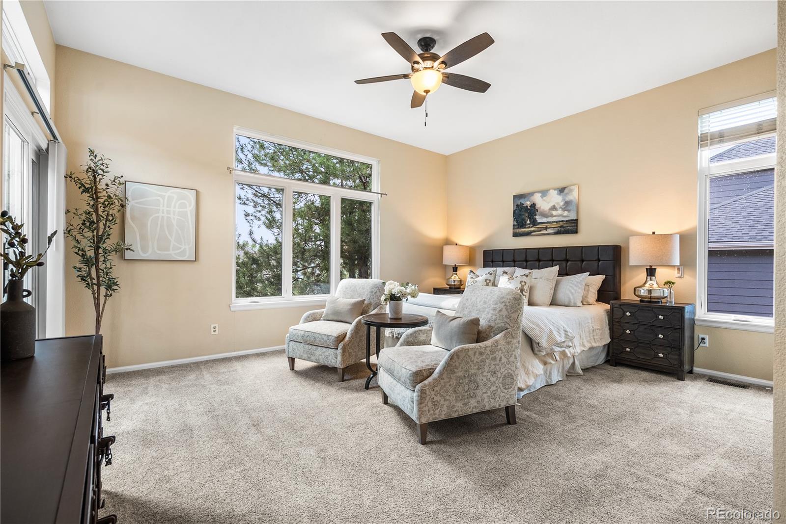 MLS Image #24 for 8753  forrest drive,highlands ranch, Colorado