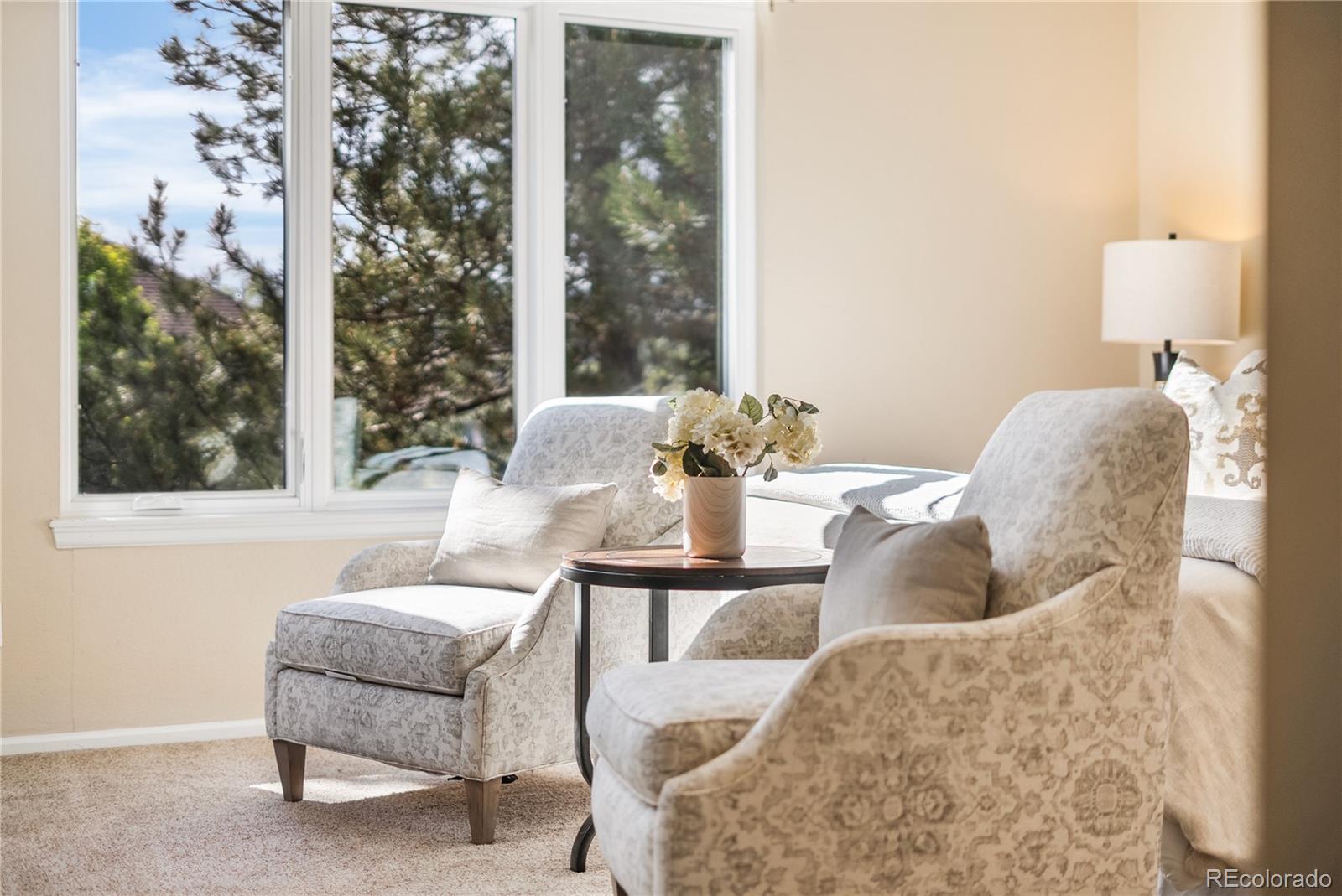 MLS Image #27 for 8753  forrest drive,highlands ranch, Colorado