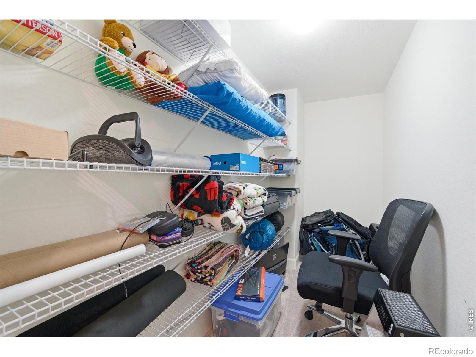 MLS Image #39 for 5814  northern lights drive,fort collins, Colorado