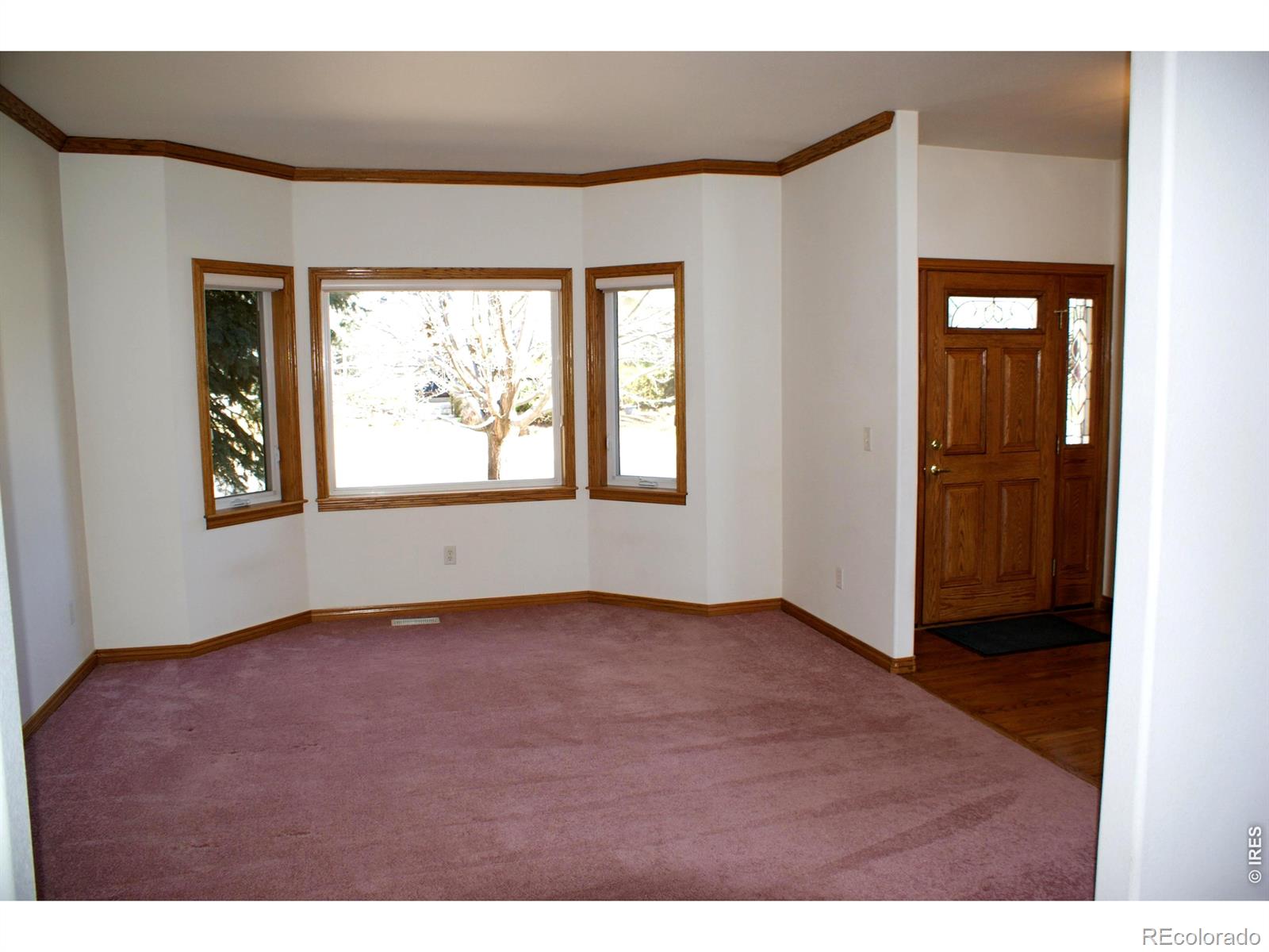 MLS Image #3 for 6576  saddleback avenue,firestone, Colorado