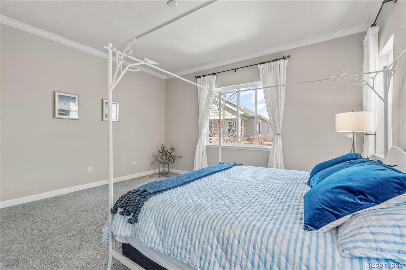 MLS Image #16 for 7640  greenwater circle,castle rock, Colorado