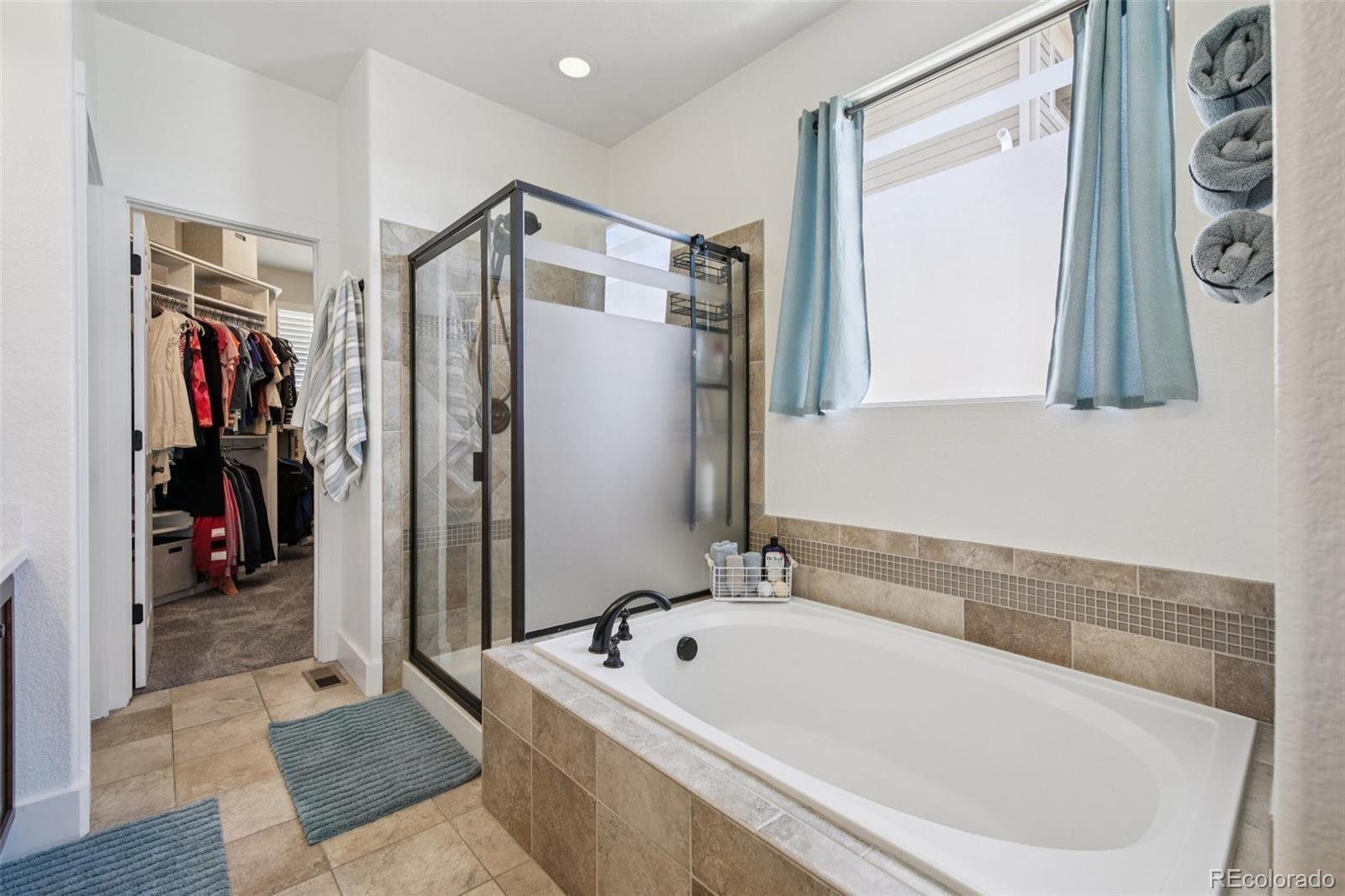 MLS Image #25 for 21537 e stroll avenue,parker, Colorado