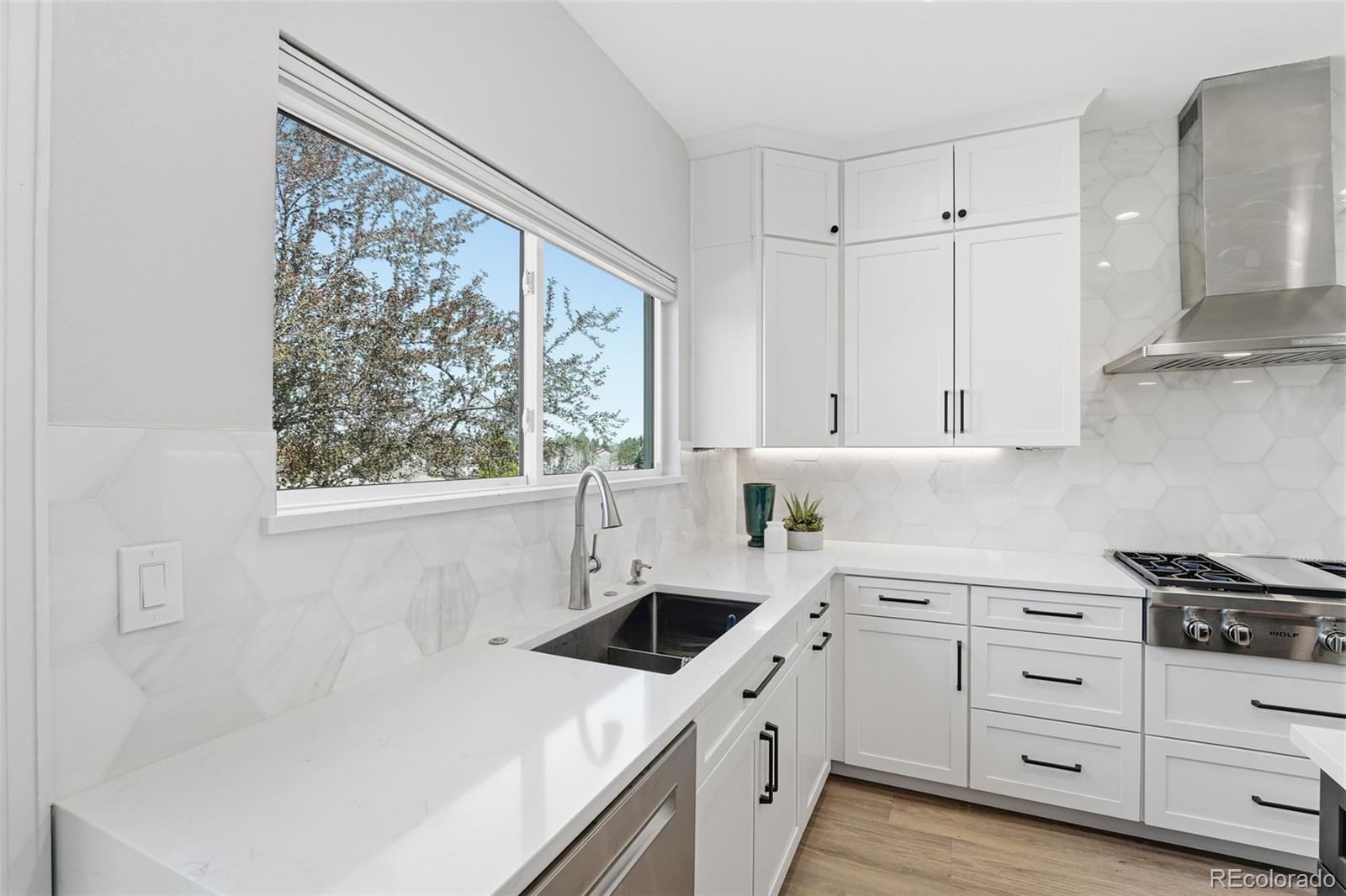 MLS Image #10 for 2931  castle peak avenue,superior, Colorado