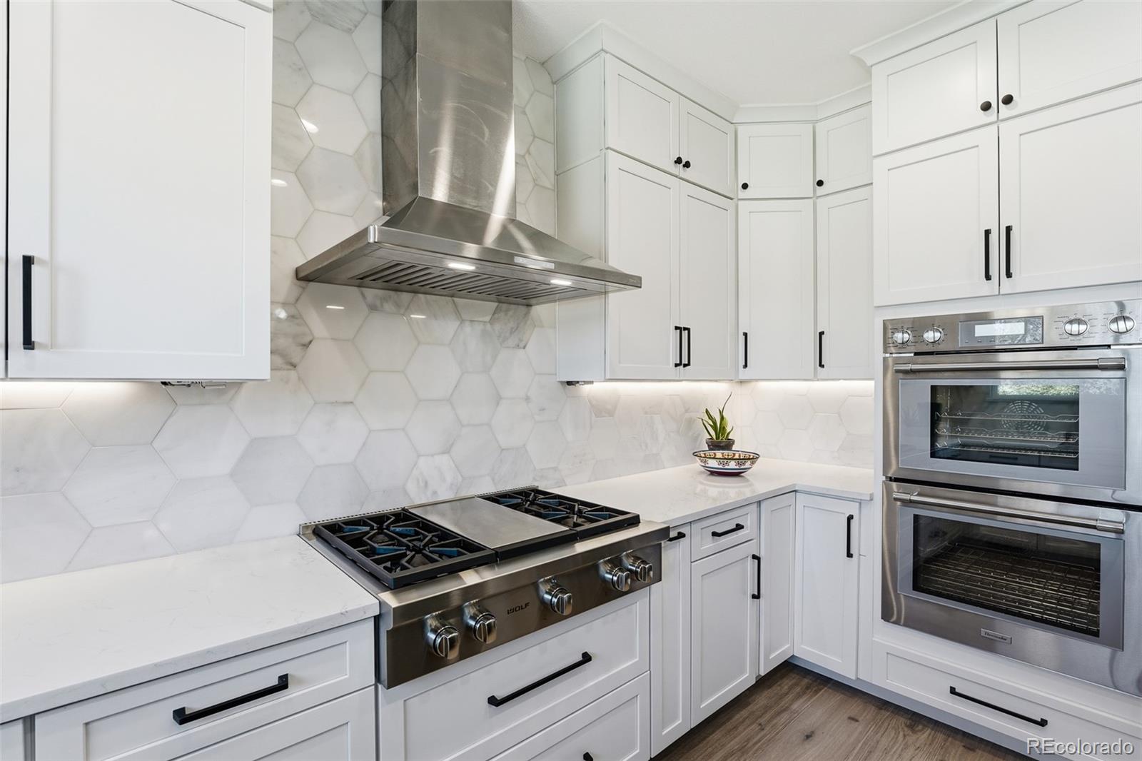 MLS Image #11 for 2931  castle peak avenue,superior, Colorado