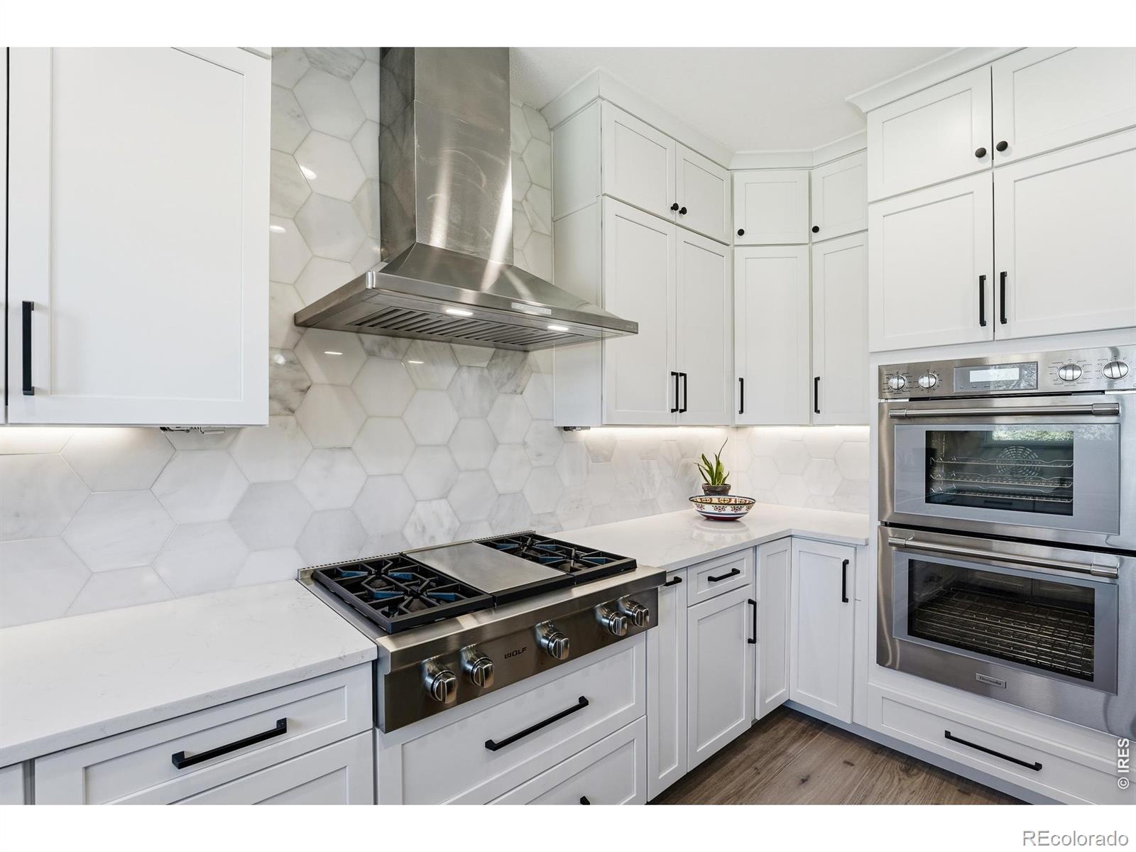 MLS Image #11 for 2931  castle peak avenue,superior, Colorado