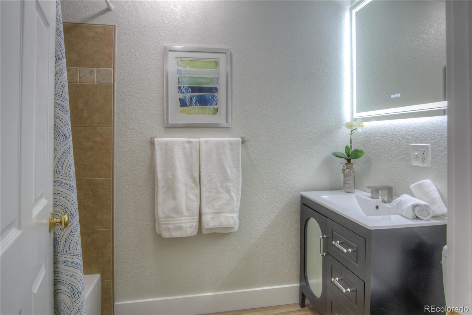 MLS Image #22 for 3050 s forest street,denver, Colorado