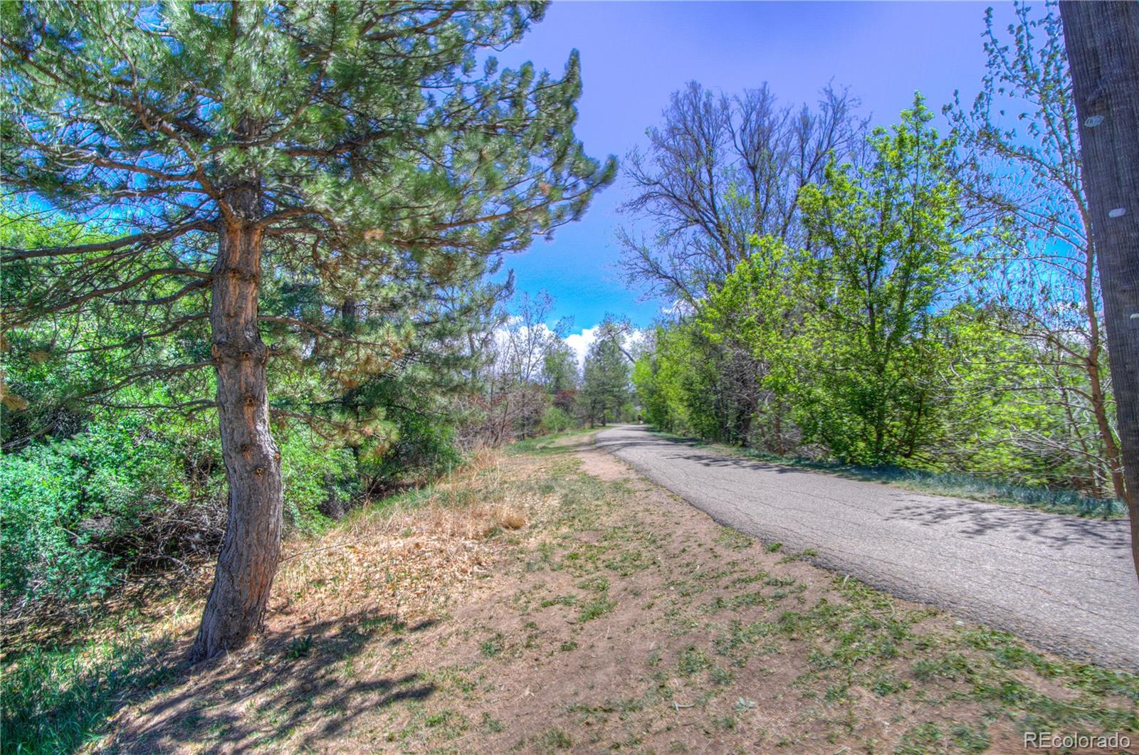 MLS Image #38 for 3050 s forest street,denver, Colorado