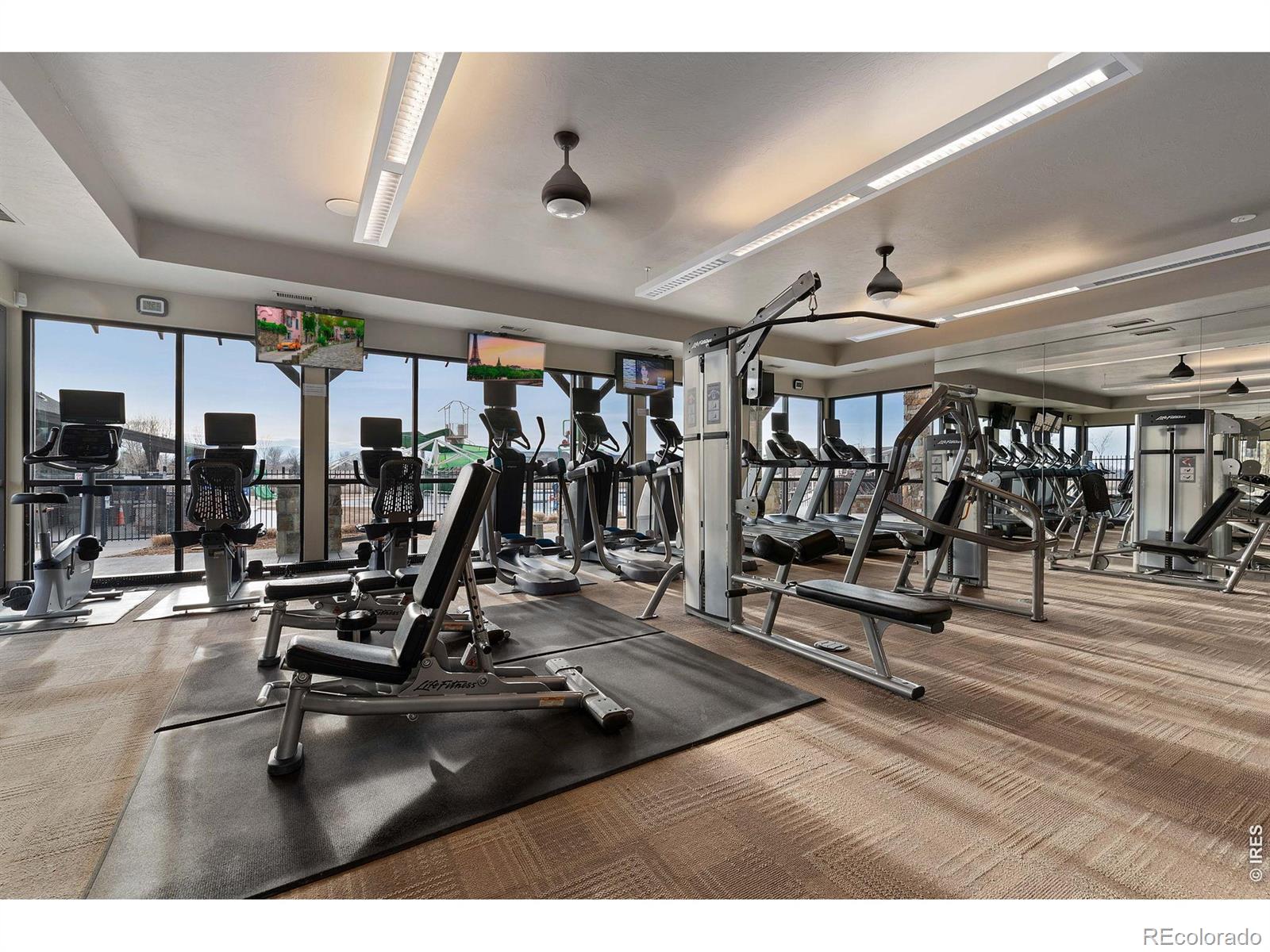 MLS Image #47 for 6104  summerfields parkway,timnath, Colorado