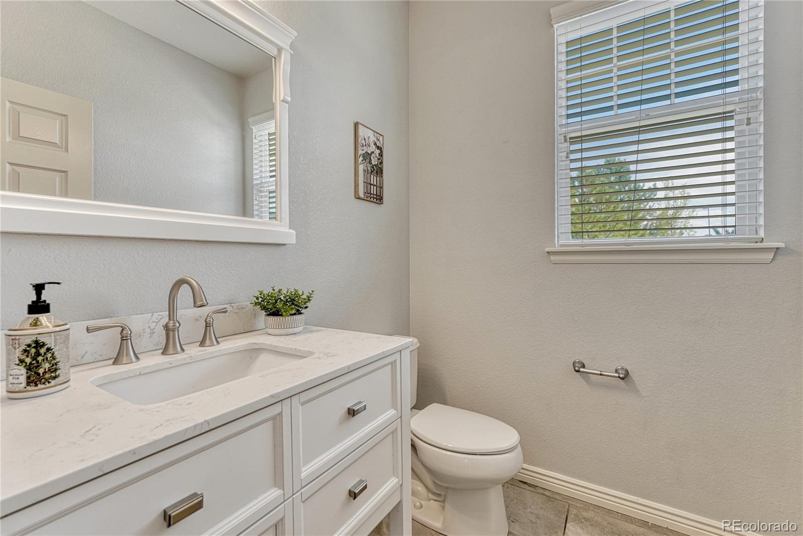 MLS Image #8 for 3810  amber sun circle,castle rock, Colorado