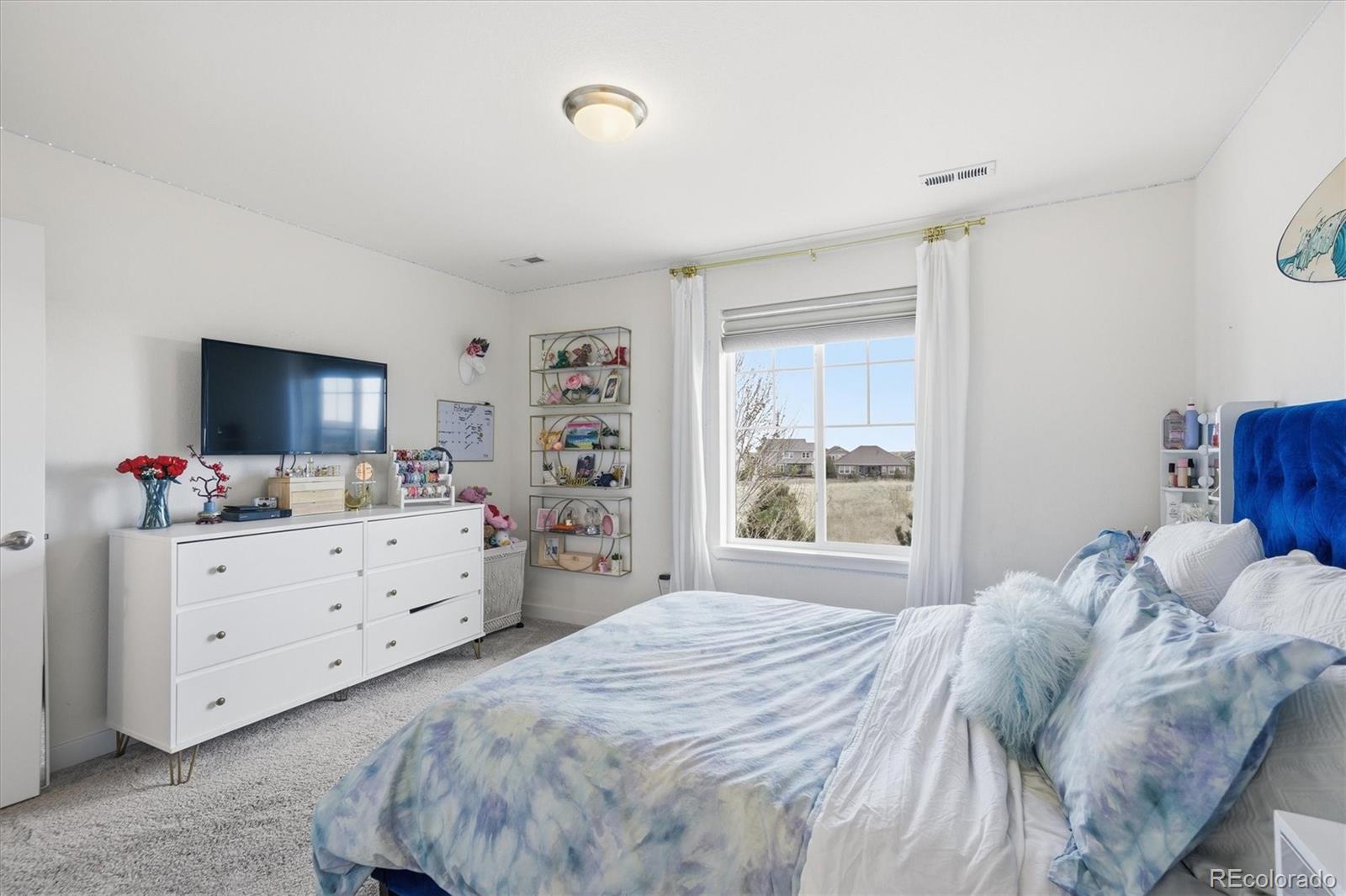 MLS Image #29 for 23199 e narrowleaf drive,aurora, Colorado