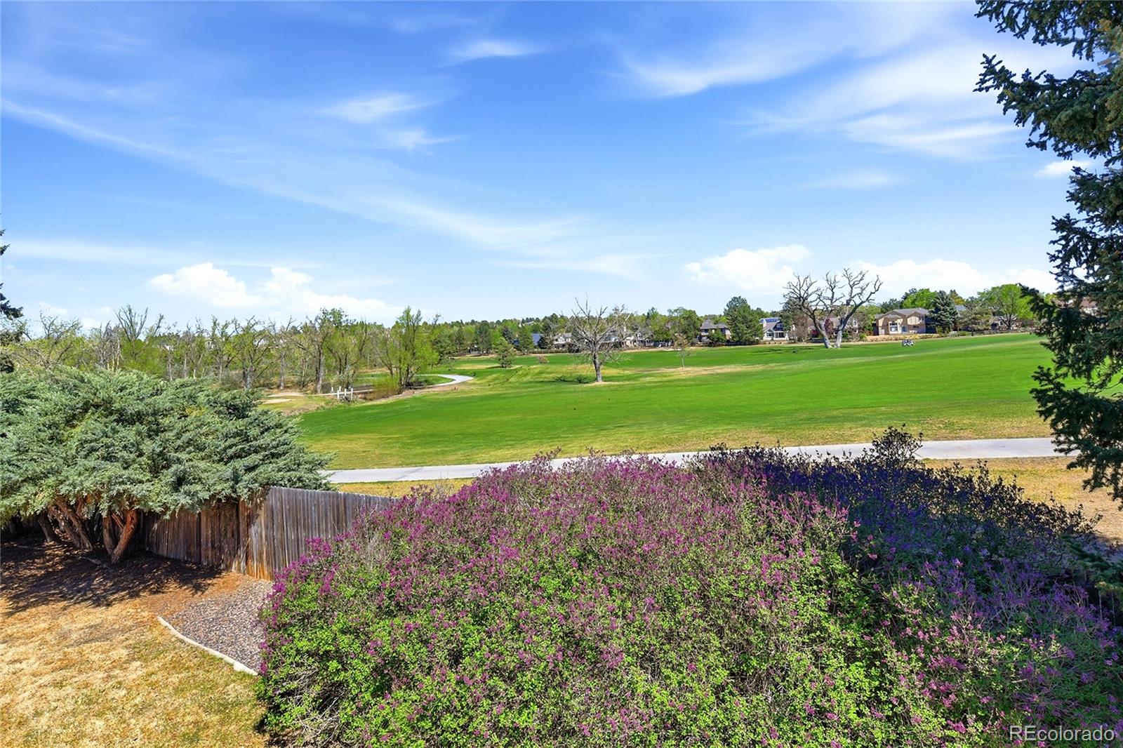 MLS Image #8 for 4613  hyland greens place,westminster, Colorado