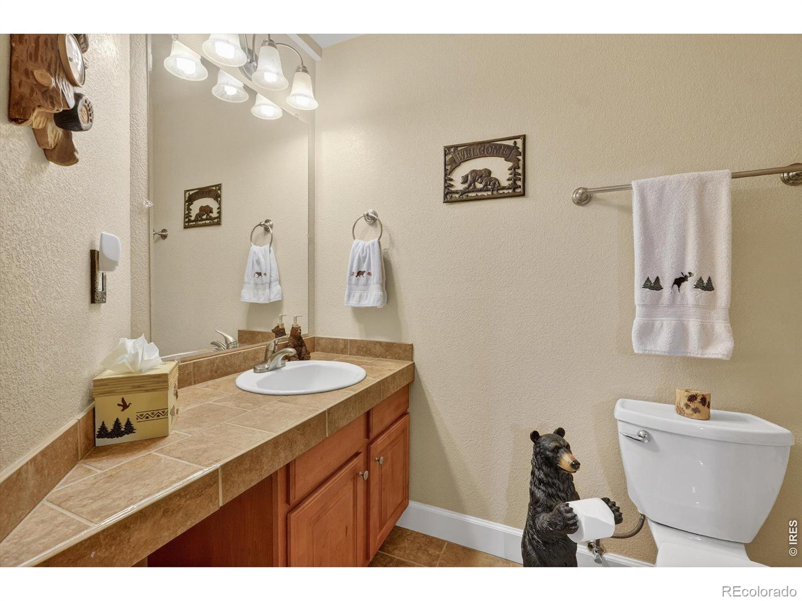 MLS Image #39 for 10972  bellbrook circle,highlands ranch, Colorado