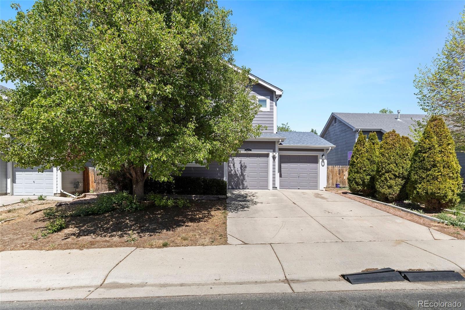 MLS Image #37 for 6291  snowberry avenue,firestone, Colorado