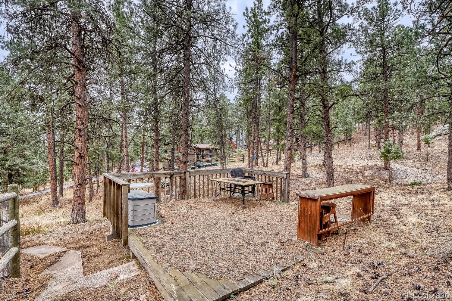 MLS Image #28 for 261  impala trail,bailey, Colorado