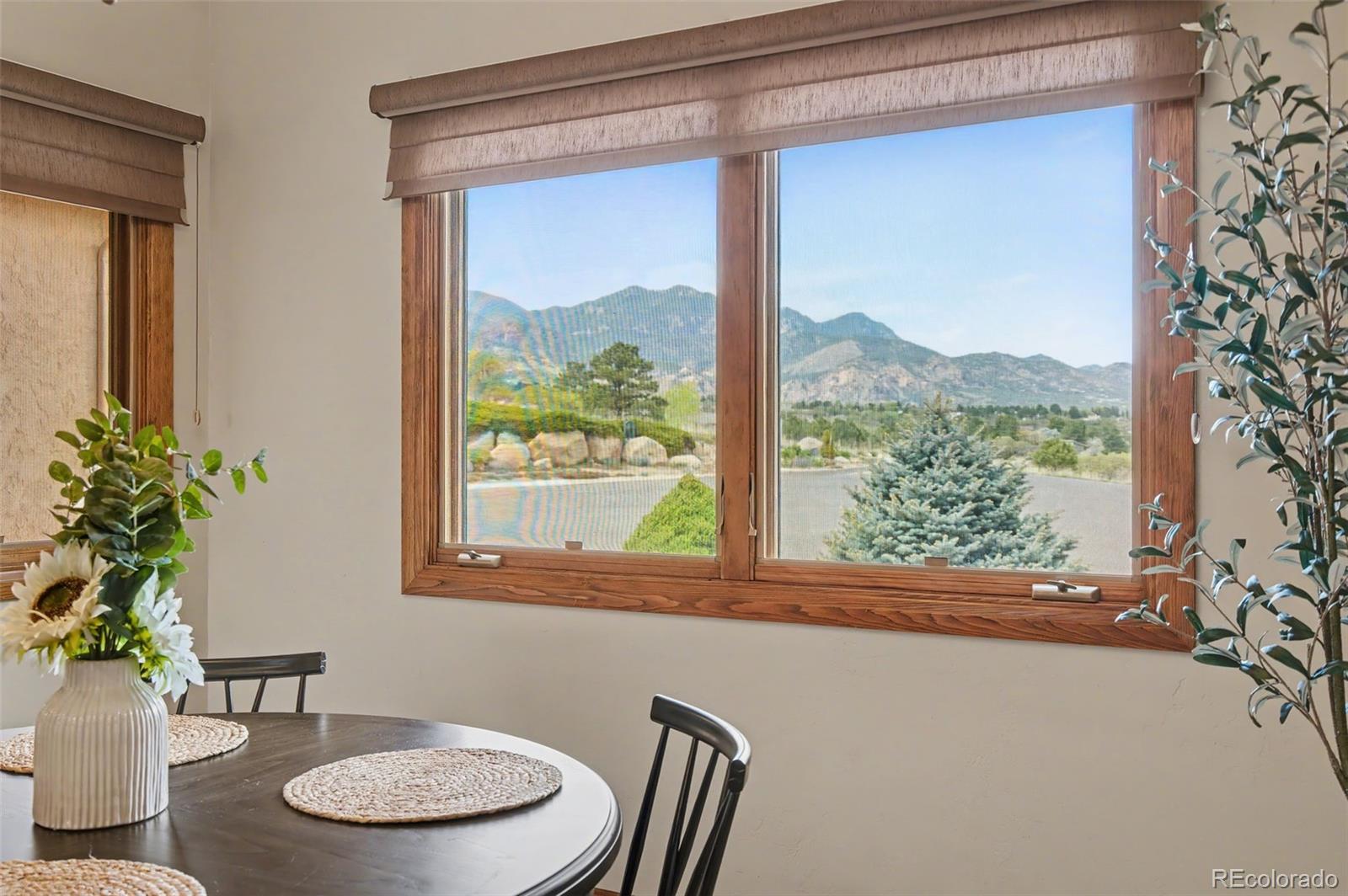 MLS Image #22 for 4215  star ranch road,colorado springs, Colorado
