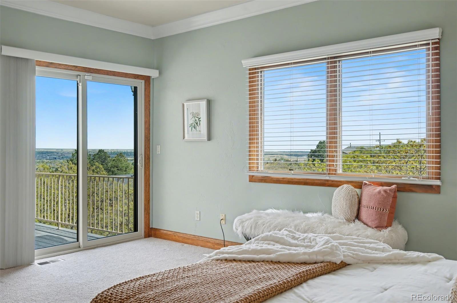 MLS Image #25 for 4215  star ranch road,colorado springs, Colorado