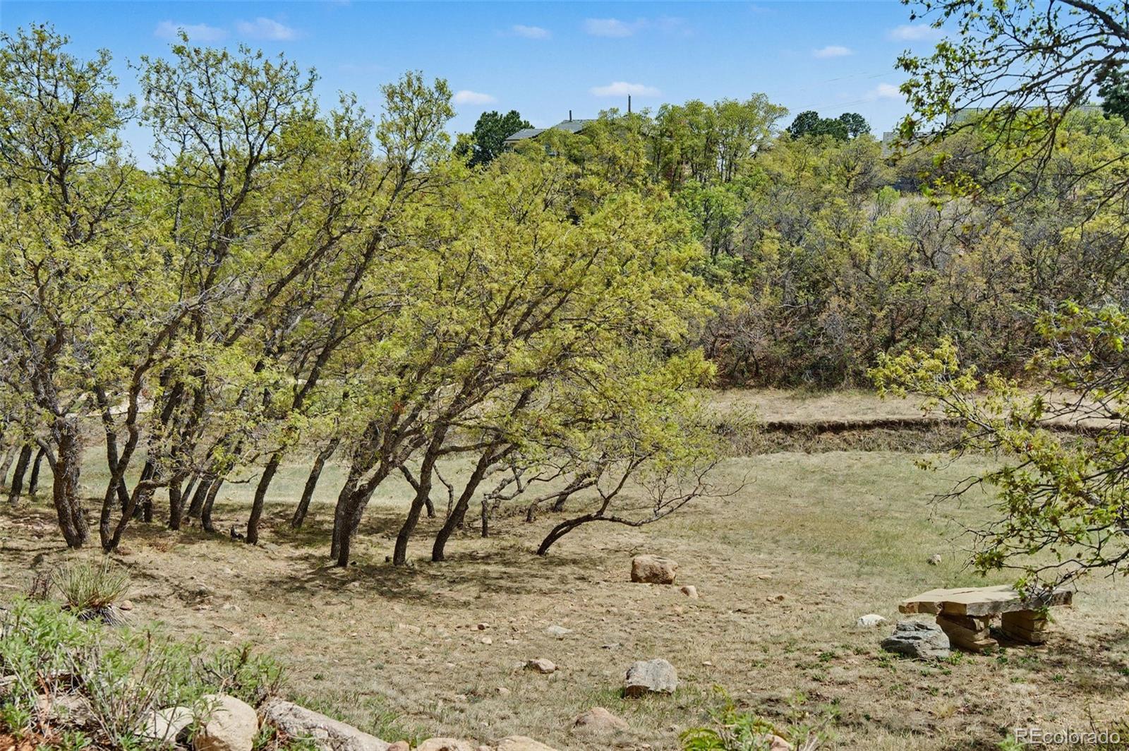 MLS Image #43 for 4215  star ranch road,colorado springs, Colorado