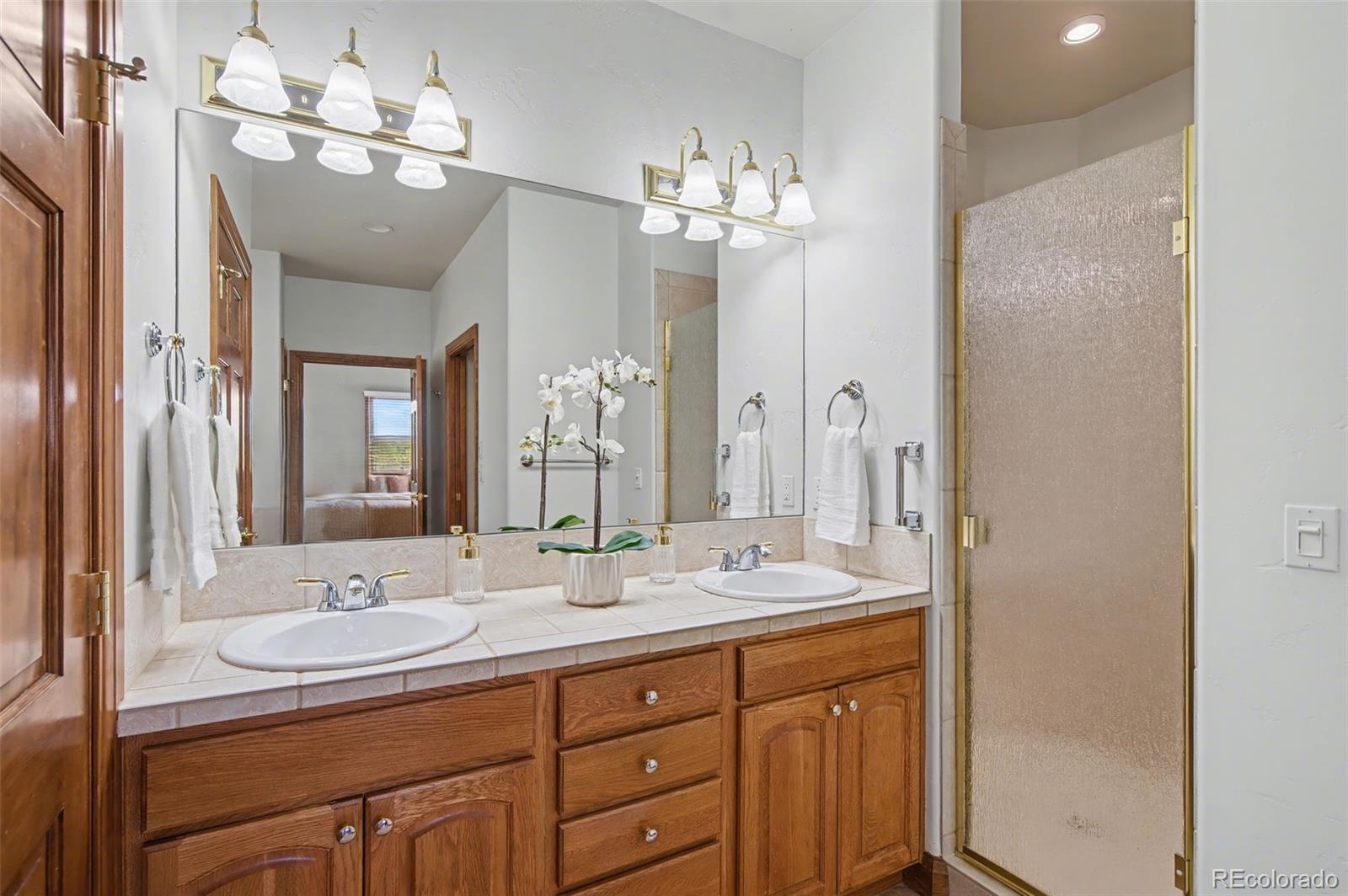 MLS Image #6 for 4215  star ranch road,colorado springs, Colorado