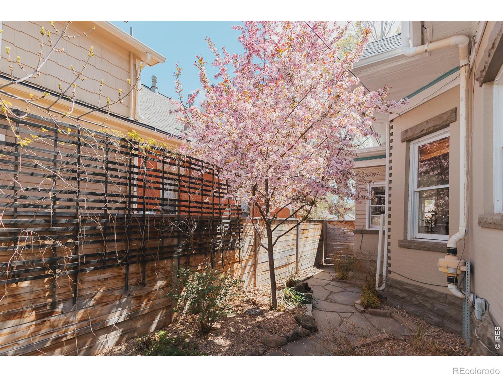 MLS Image #27 for 824 w olive street,fort collins, Colorado