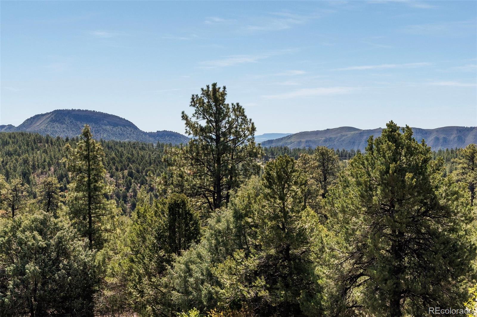 MLS Image #31 for 720  sawmill road,durango, Colorado