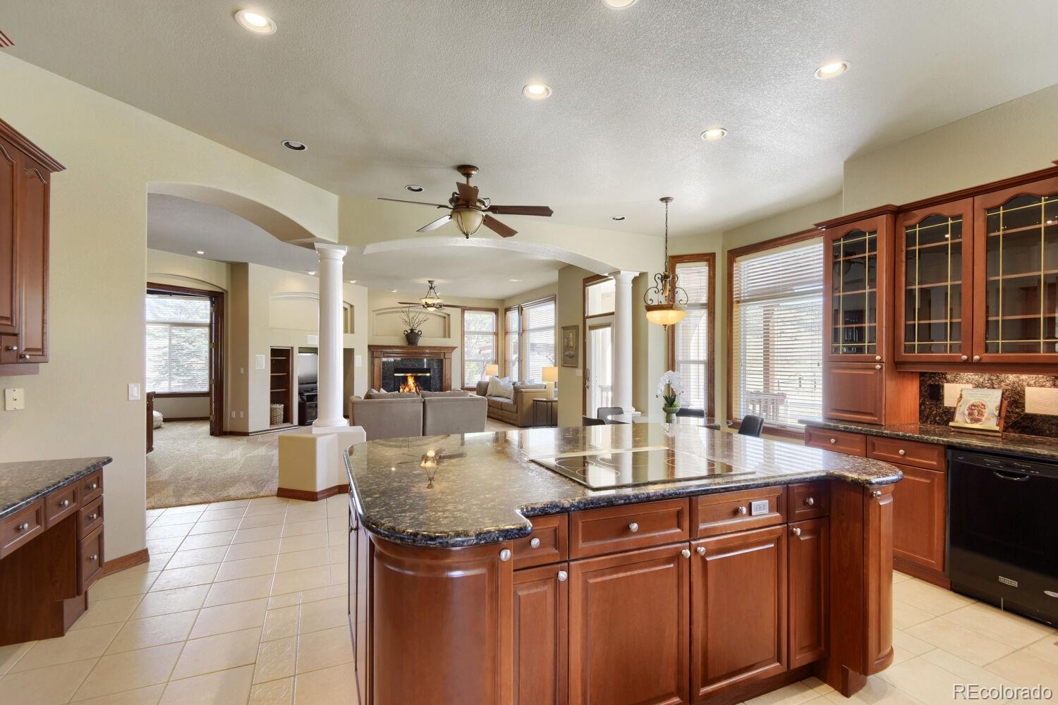 MLS Image #4 for 8050  witney place,lone tree, Colorado
