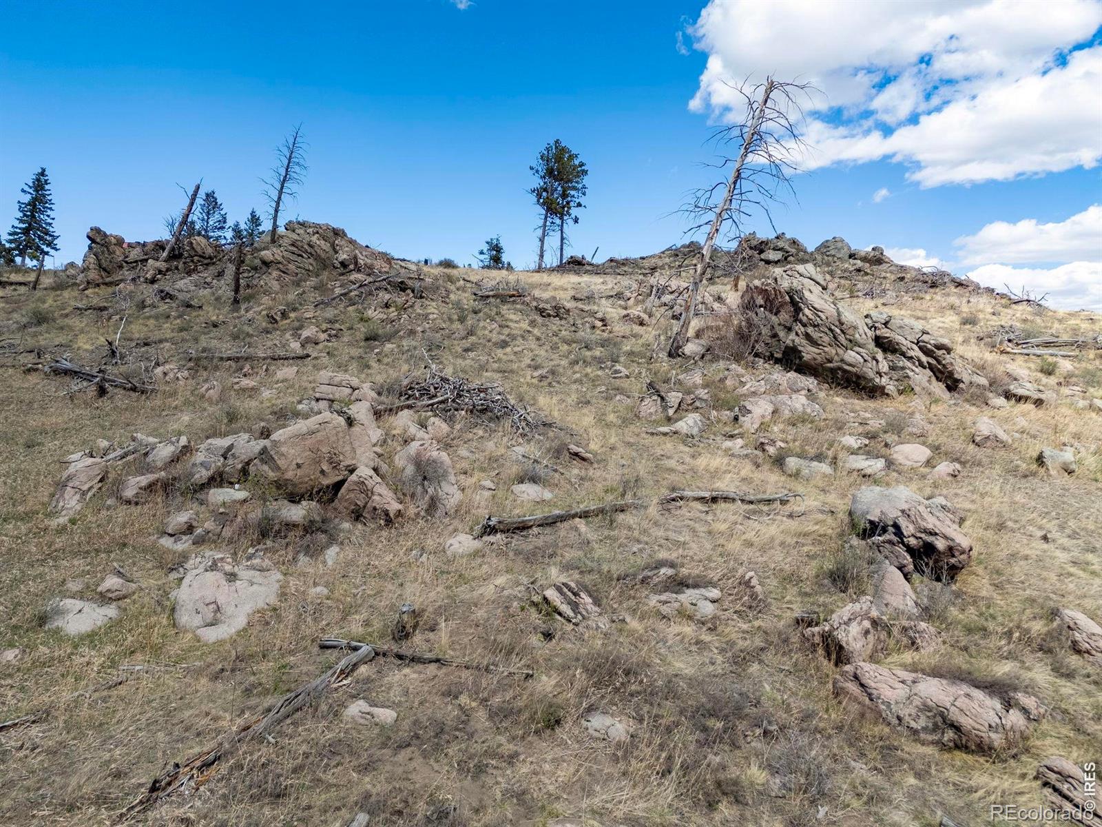 MLS Image #35 for 3069  davis ranch road,bellvue, Colorado
