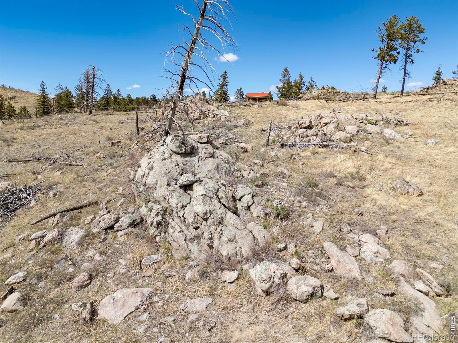 MLS Image #37 for 3069  davis ranch road,bellvue, Colorado