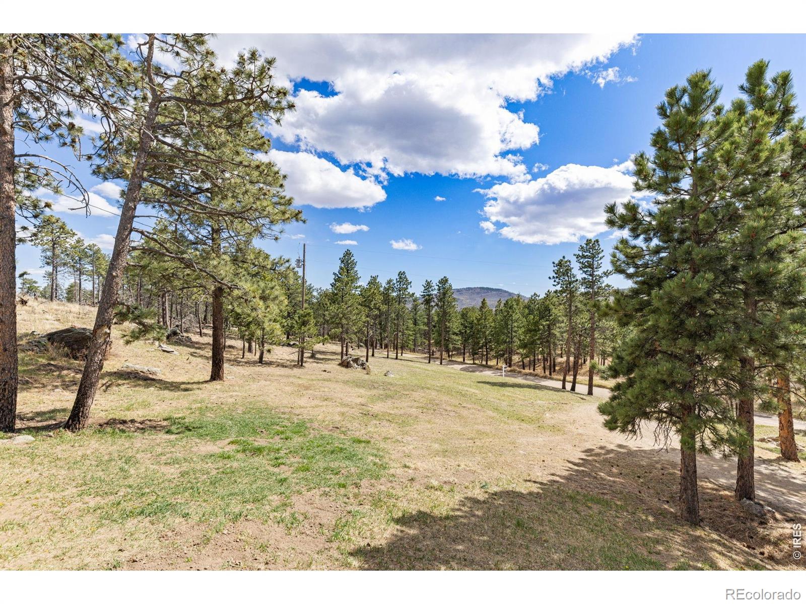MLS Image #7 for 3069  davis ranch road,bellvue, Colorado