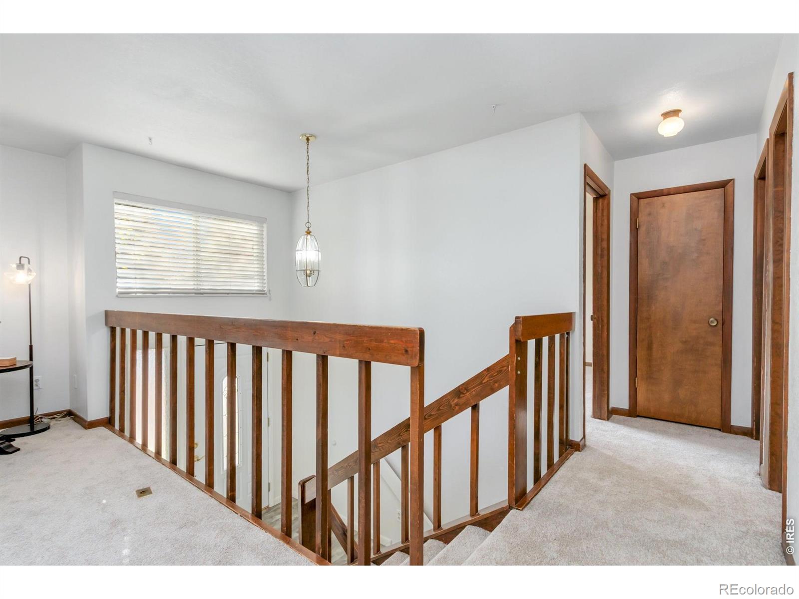 MLS Image #15 for 3006  alamo avenue,fort collins, Colorado