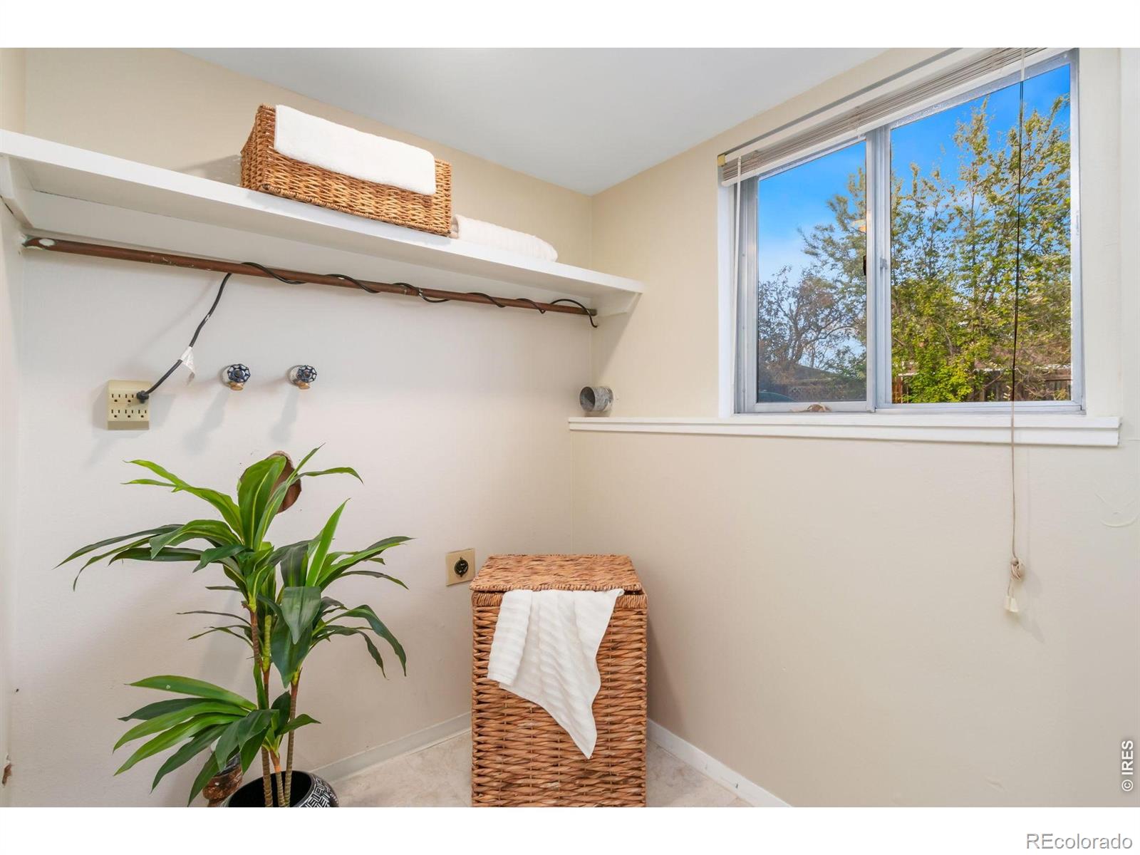MLS Image #24 for 3006  alamo avenue,fort collins, Colorado