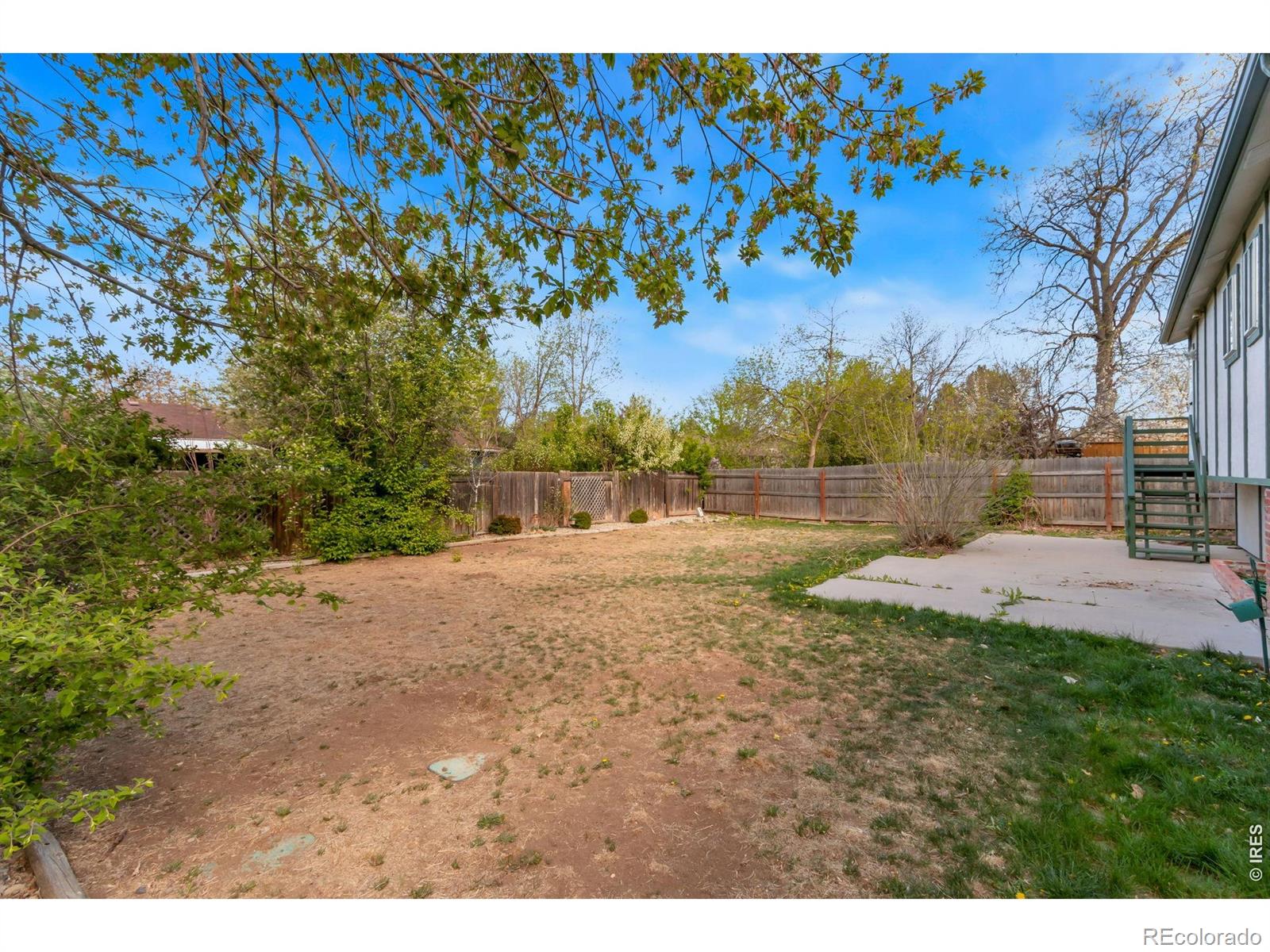 MLS Image #34 for 3006  alamo avenue,fort collins, Colorado