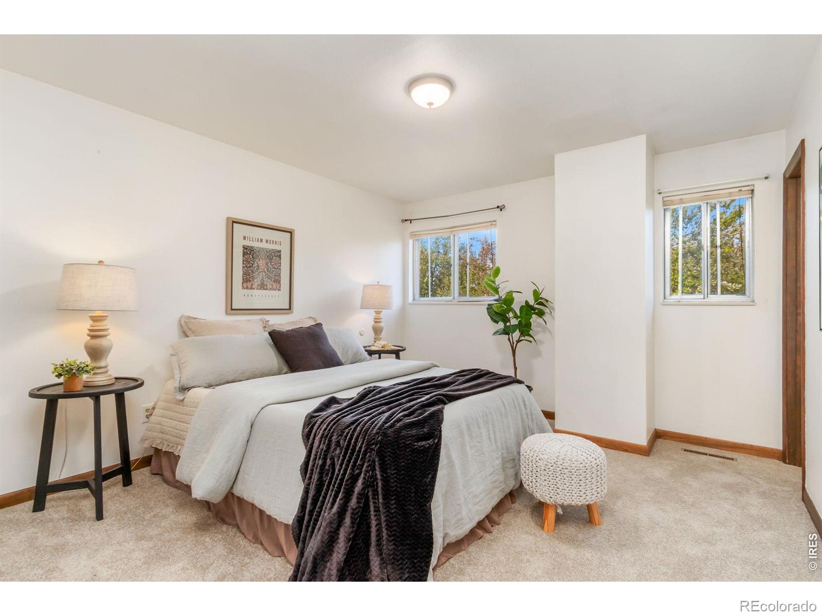 MLS Image #6 for 3006  alamo avenue,fort collins, Colorado